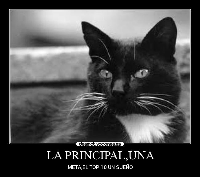 LA PRINCIPAL,UNA -