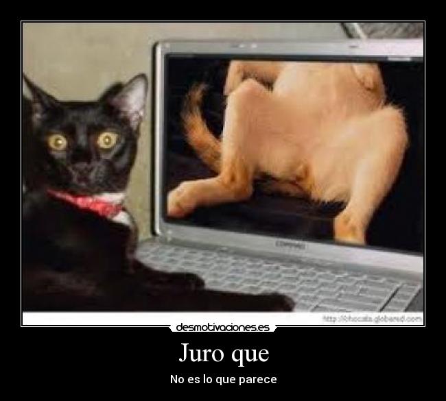 Juro que - No es lo que parece