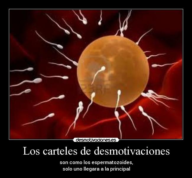 Los carteles de desmotivaciones -