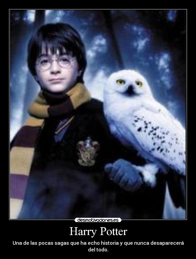 Harry Potter -