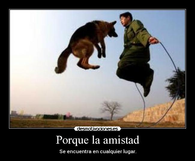 Porque la amistad - 