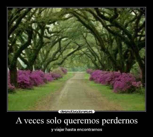 A veces solo queremos perdernos - 