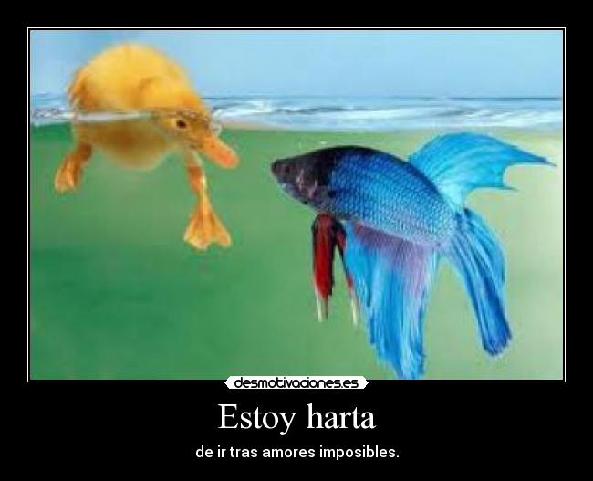 Estoy harta - de ir tras amores imposibles.