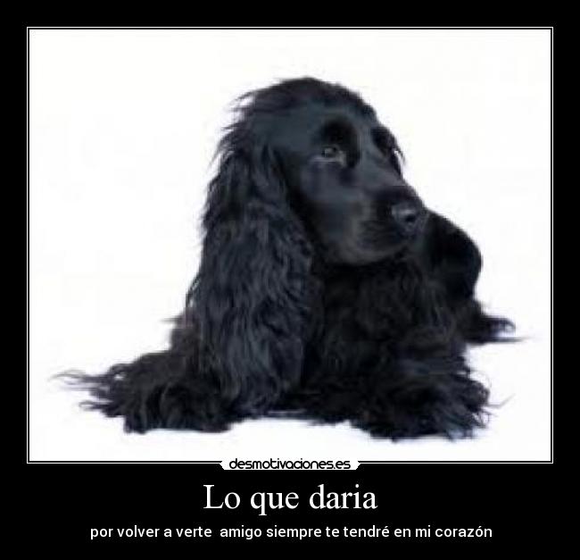 Lo que daria - por volver a verte  amigo siempre te tendré en mi corazón