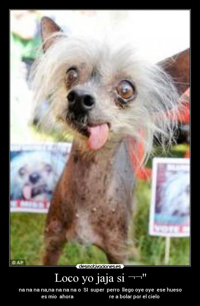 Loco yo jaja si ¬¬ - na na na na,na na na na o  SI  super  perro  llego oye oye  ese hueso
es mio  ahora                             re a bolar por el cielo