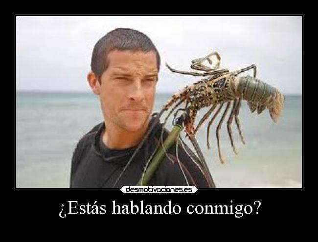 carteles miguel100one clanantifas kaf 0o0o0o0o0o0o0o0o0o0o0 challengeacceptedd pone burro desmotivaciones