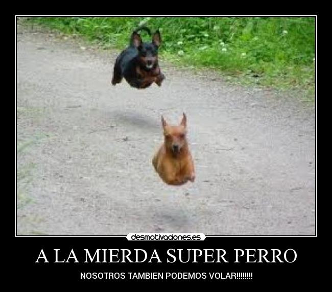 A LA MIERDA SUPER PERRO - 