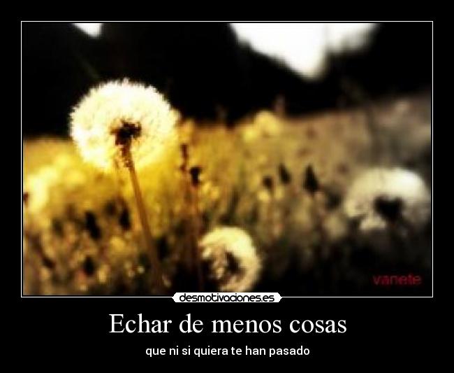 Echar de menos cosas -