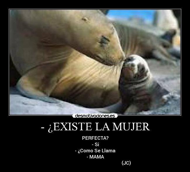 carteles mujer desmotivaciones