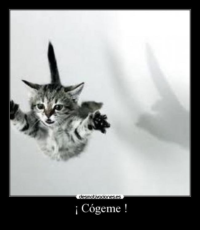 ¡ Cógeme ! -