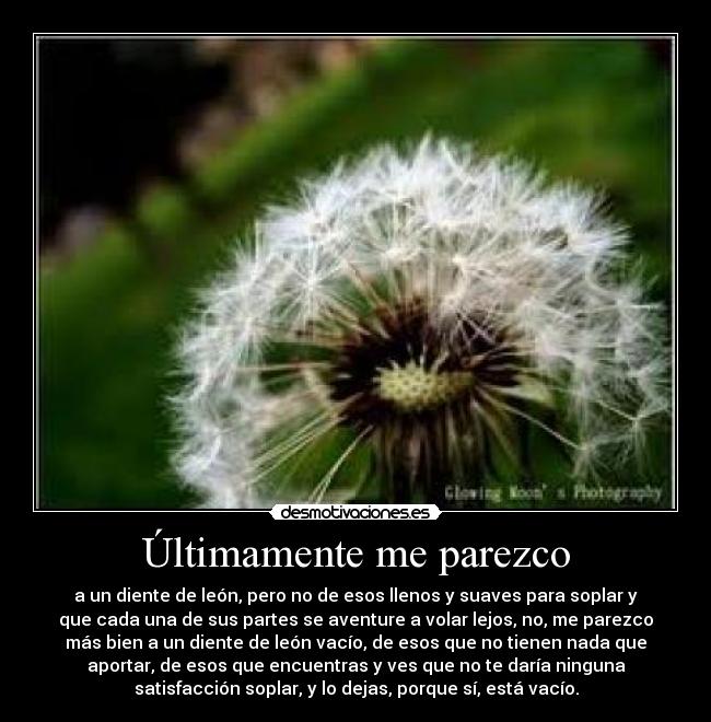 Últimamente me parezco -