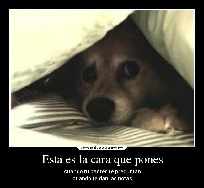Esta es la cara que pones - 