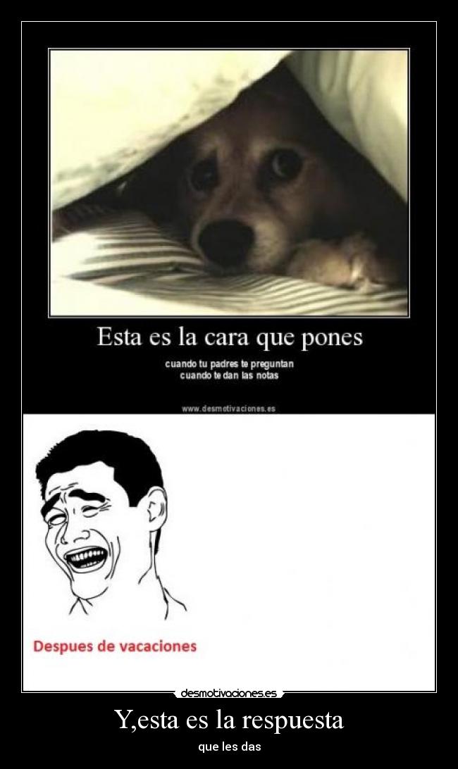 Y,esta es la respuesta -