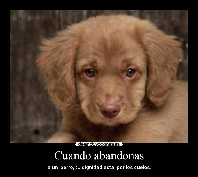 Cuando abandonas - 