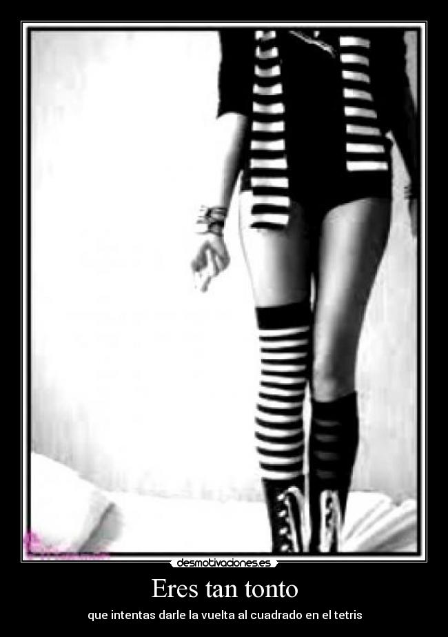 Eres tan tonto - que intentas darle la vuelta al cuadrado en el tetris
