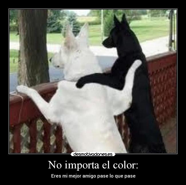No importa el color: - 