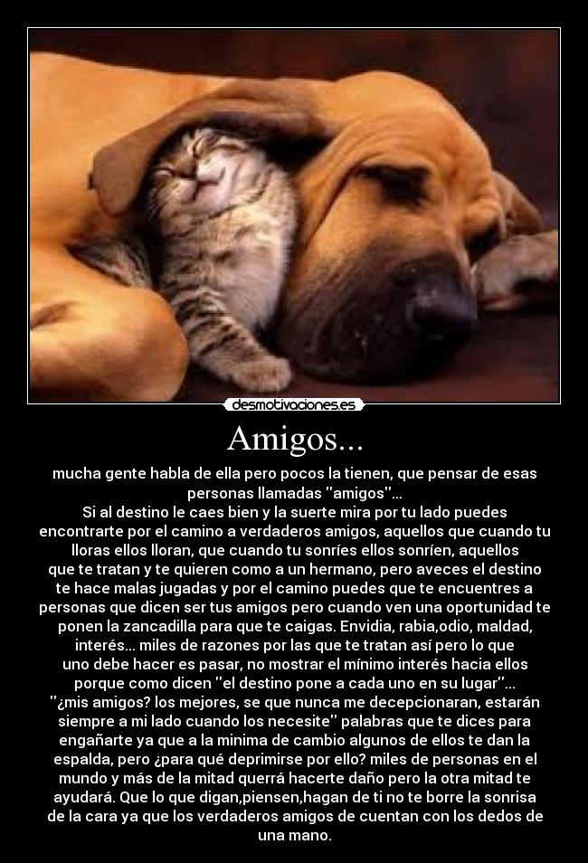 Amigos... - 