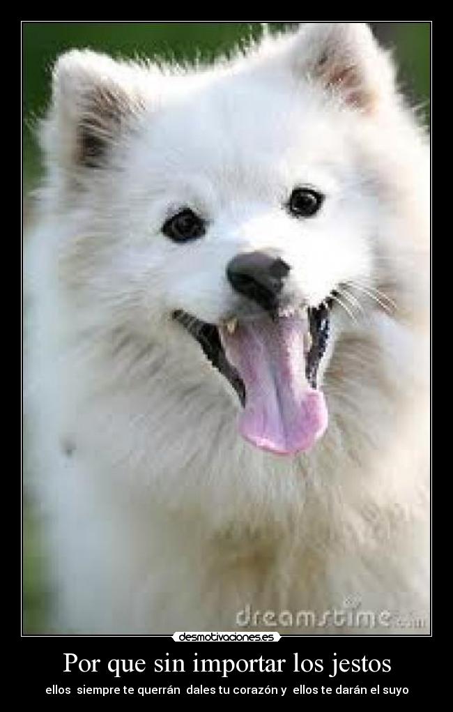 Por que sin importar los jestos - ellos  siempre te querrán  dales tu corazón y  ellos te darán el suyo