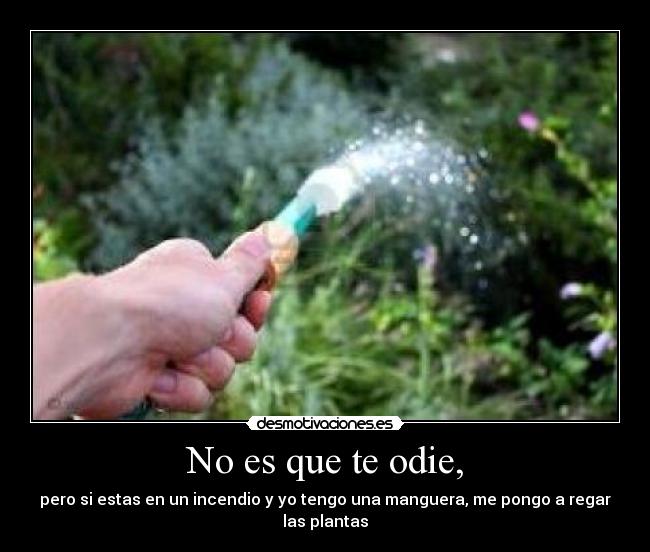 No es que te odie, - 