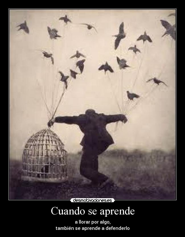 Cuando se aprende -