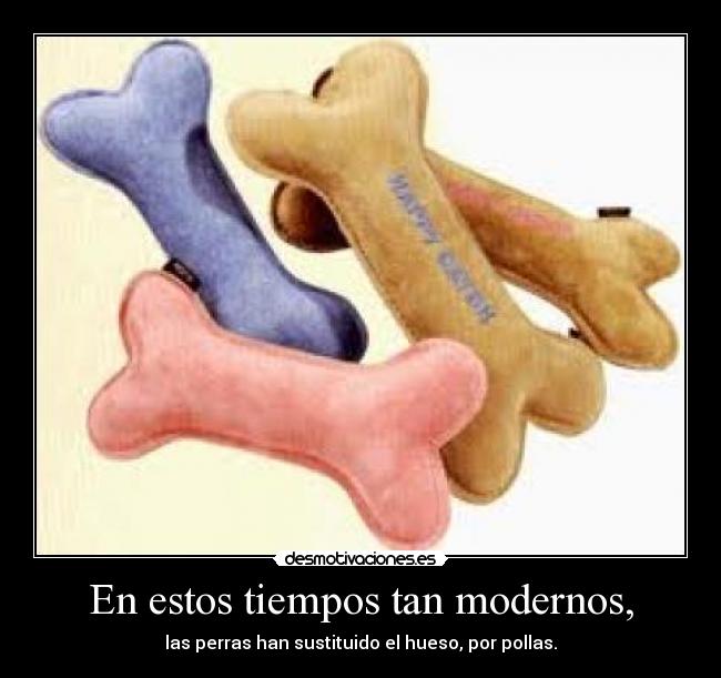 En estos tiempos tan modernos, - las perras han sustituido el hueso, por pollas.