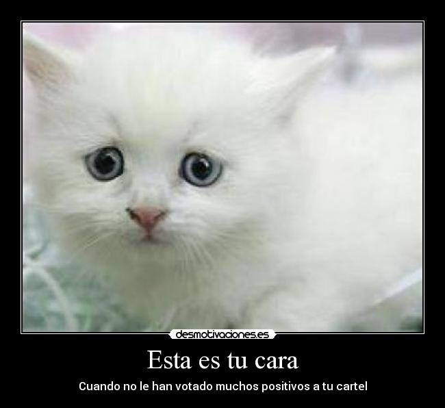Esta es tu cara - Cuando no le han votado muchos positivos a tu cartel