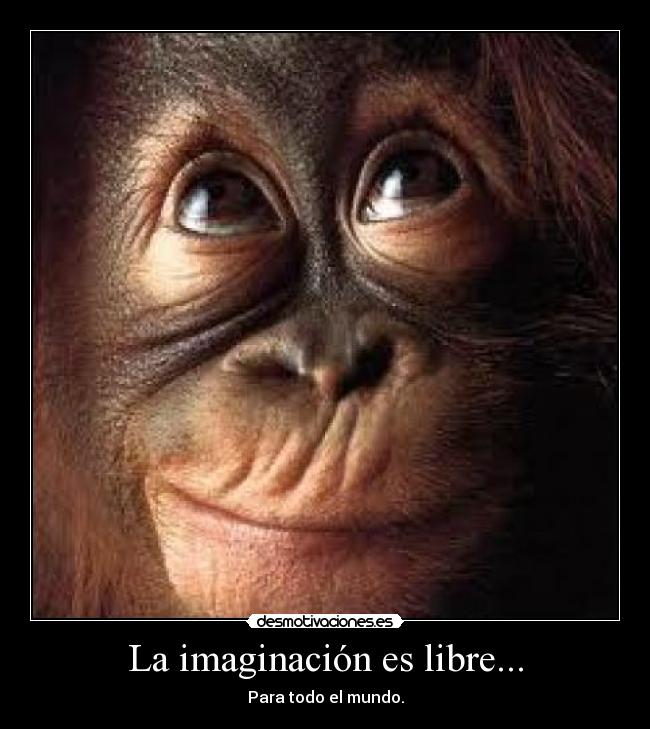 carteles imaginacion imaginacion libre desmotivaciones