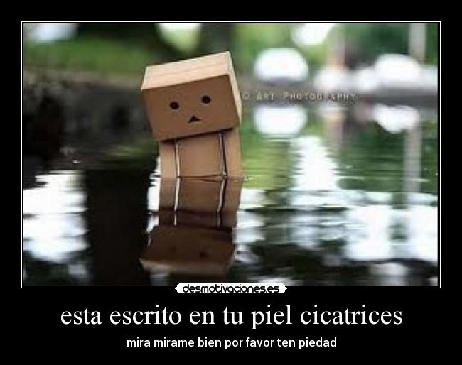 esta escrito en tu piel cicatrices - 