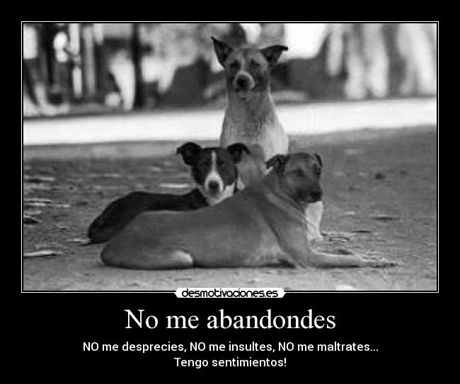 No me abandondes - NO me desprecies, NO me insultes, NO me maltrates...
Tengo sentimientos!