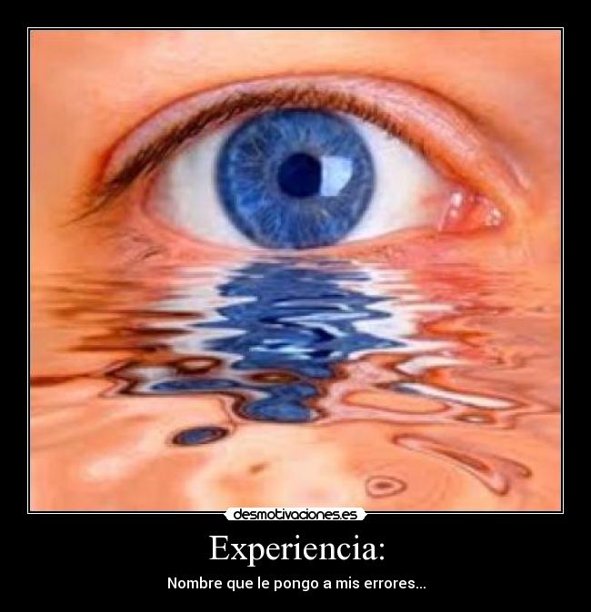 Experiencia: - 