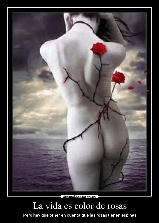 La vida es color de rosas -