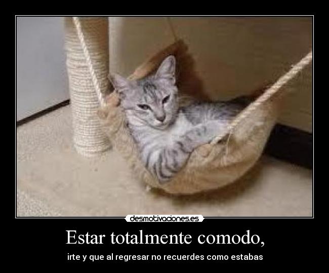 Estar totalmente comodo, -