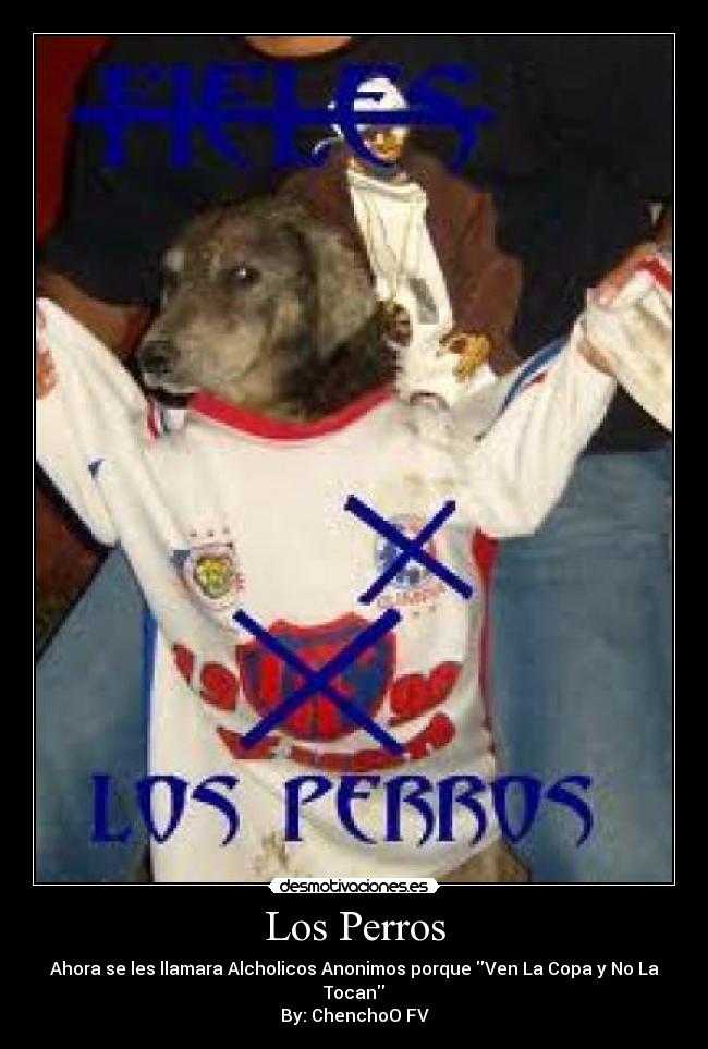 Los Perros - 