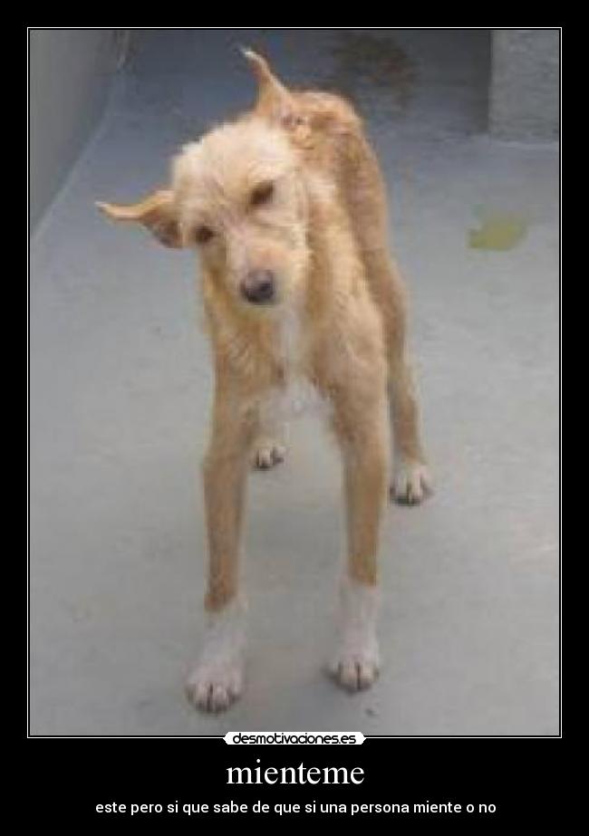 mienteme - este pero si que sabe de que si una persona miente o no