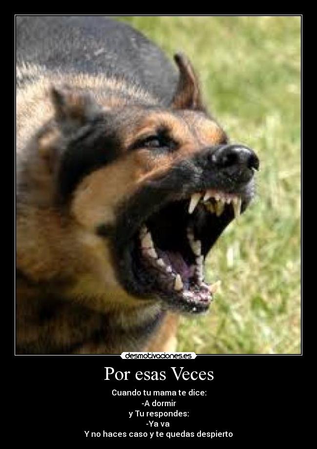 Por esas Veces - 