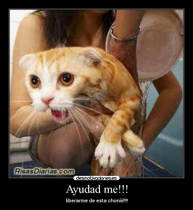 Ayudad me!!! - liberarme de esta choniii!!!!