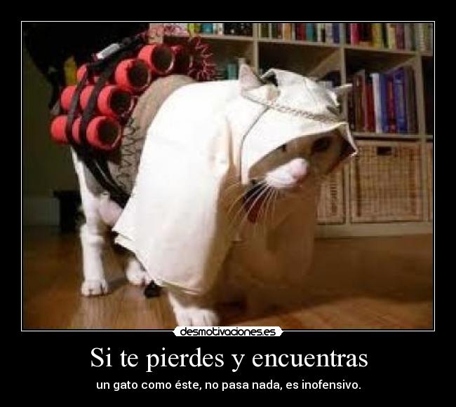 Si te pierdes y encuentras - 