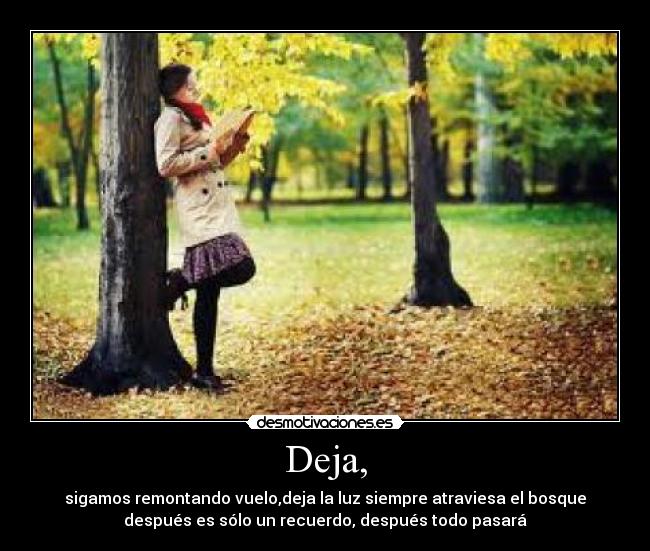 carteles personalmente creo que todo esto una locura desmotivaciones