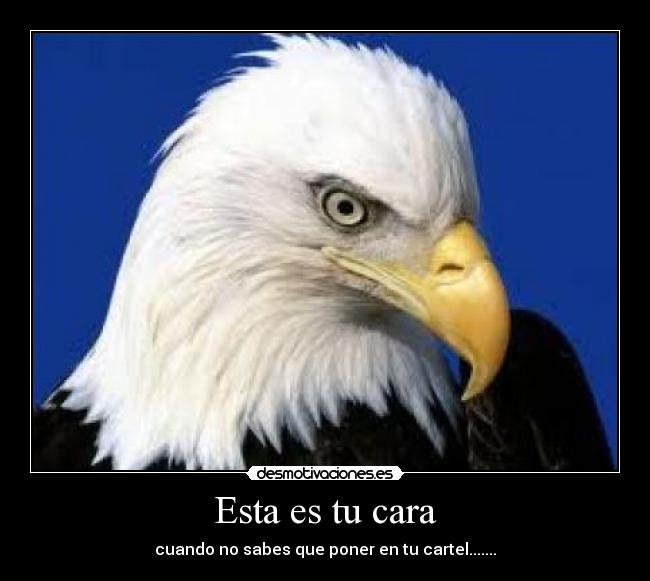 Esta es tu cara - cuando no sabes que poner en tu cartel.......