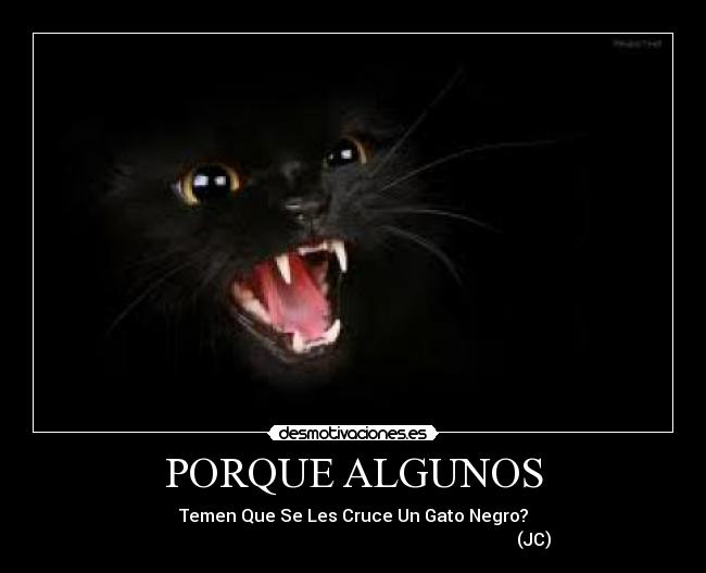 PORQUE ALGUNOS - Temen Que Se Les Cruce Un Gato Negro?
                                                                                   (JC)