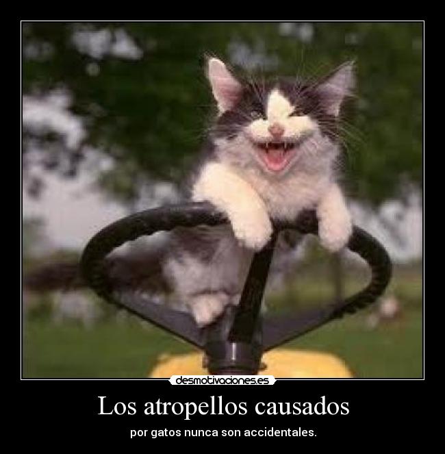 Los atropellos causados - 
