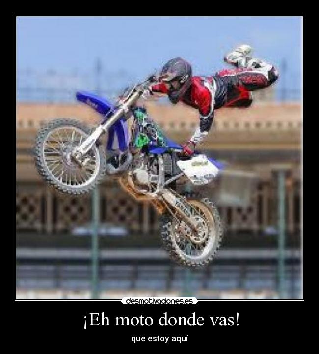 ¡Eh moto donde vas! - 