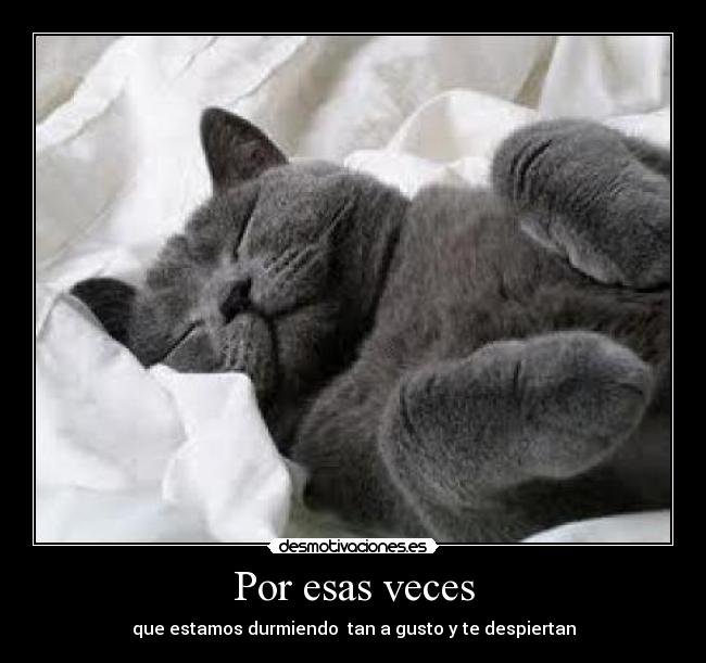 Por esas veces - que estamos durmiendo tan a gusto y te despiertan