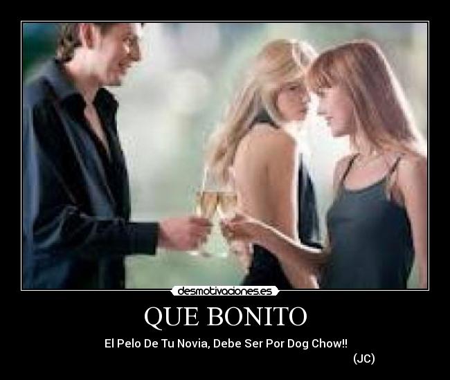 QUE BONITO - El Pelo De Tu Novia, Debe Ser Por Dog Chow!!
                                                                                                    (JC)