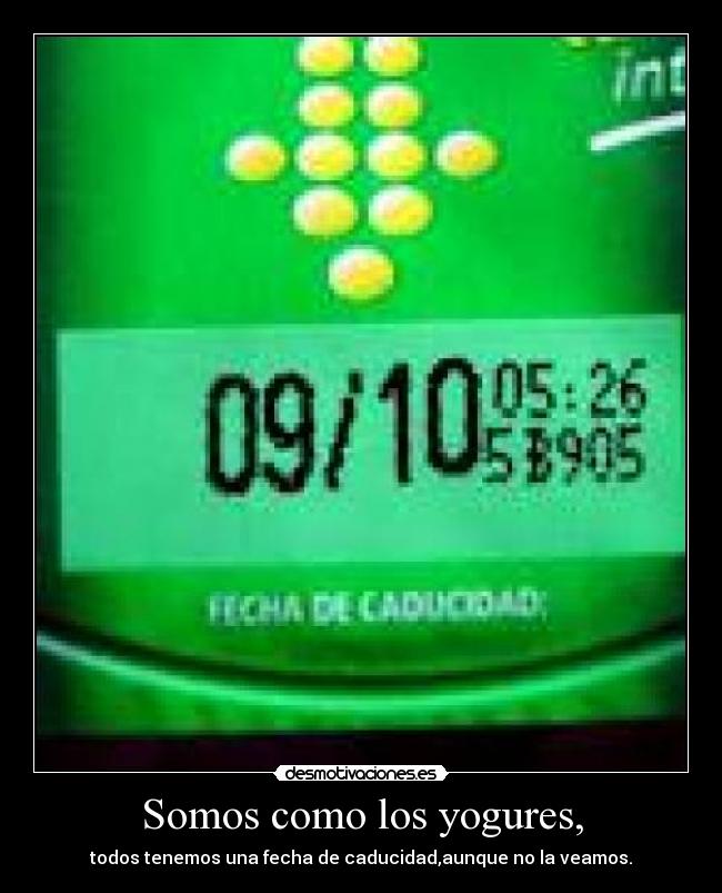 Somos como los yogures, -