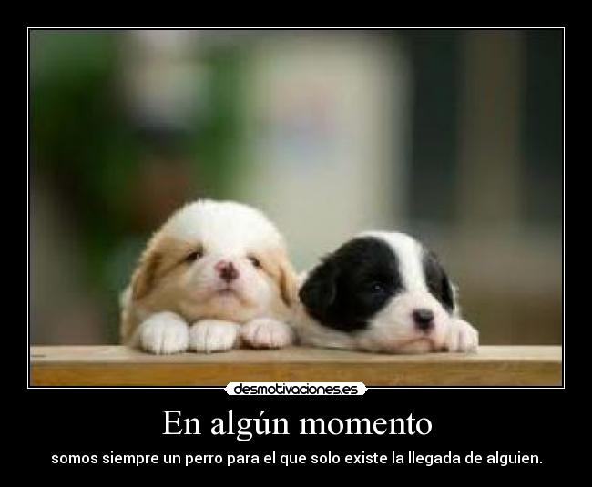 En algún momento - somos siempre un perro para el que solo existe la llegada de alguien.