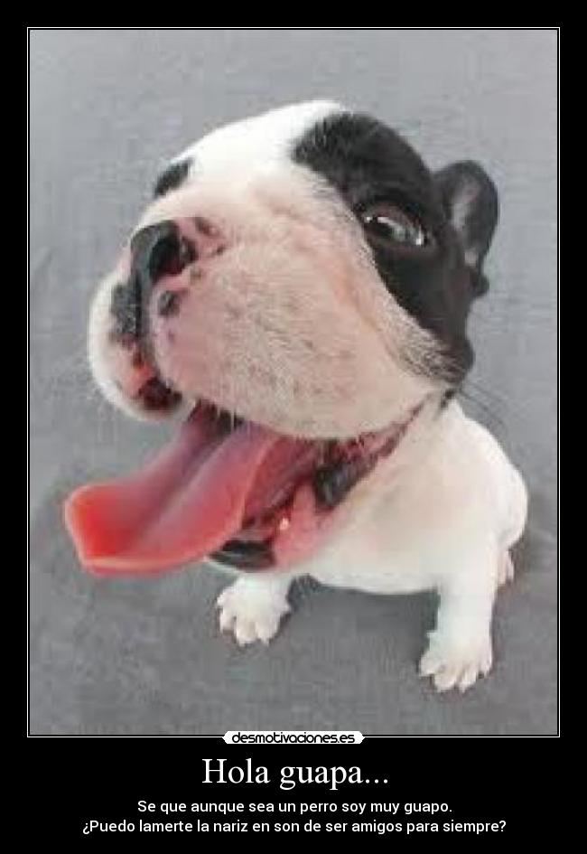 carteles amigos desmotivaciones