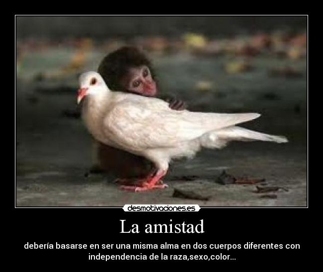 La amistad -