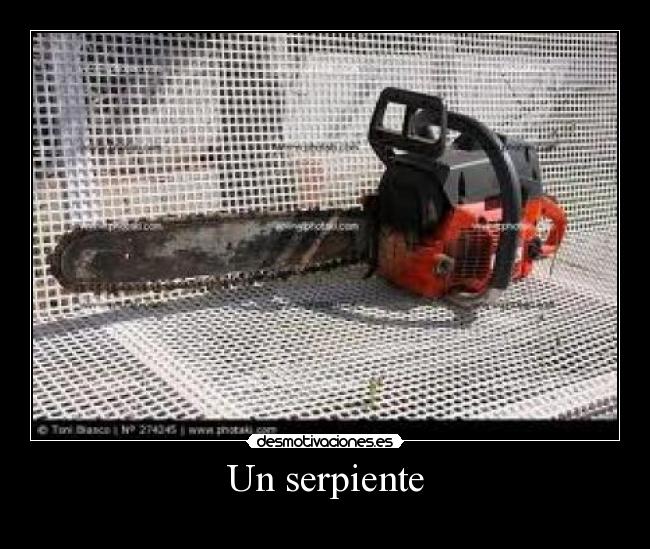 Un serpiente -