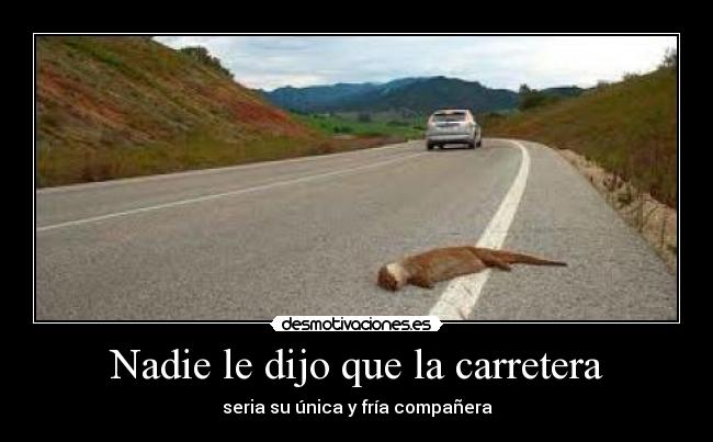 carteles que moriria destrozado cuneta desmotivaciones